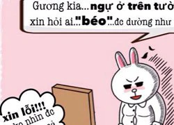 Siêu chế: Gấu Brown và thỏ Cony (P30)