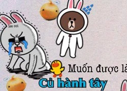 Siêu chế: Gấu Brown và thỏ Cony (P34)