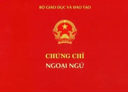 Sở Giáo dục không được tự in phôi chứng chỉ ngoại ngữ, tin học