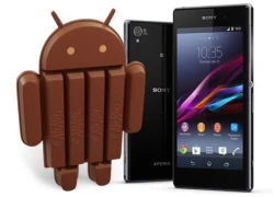 Sony cập nhật Android KitKat cho dòng Xperia Z 2013