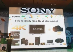 Sony hợp tác tường thuật FIFA World Cup 2014 dưới dạng 4K