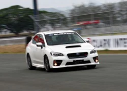 Subaru đưa WRX STI mới về Việt Nam