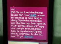 Thủ tướng yêu cầu làm rõ thông tin Vinaphone kiếm tiền từ bệnh sởi