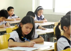 TOEFL Primary 2014: Nhiều học sinh TP HCM đạt điểm tối đa