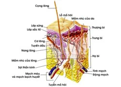 Triệt lông bằng 5G+ giúp chị em đẹp hơn