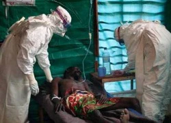 Truy lùng gần 400 người có thể lây Ebola