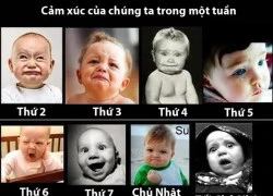 Truyện tranh troll vui phần 823