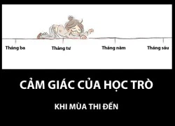 Truyện tranh troll vui phần 966