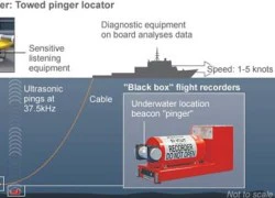 Úc xác nhận tín hiệu được phát hiện phù hợp với tín hiệu hộp đen
