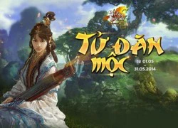 Xoay chuyển càn khôn với Tử Đàn Mộc