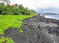 10 điều có thể bạn không biết về Hawaii