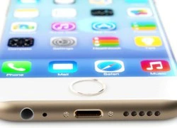 85% người dùng muốn iPhone 6 có màn hình lớn