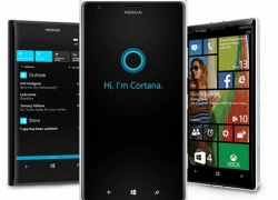 Bản cập nhật Windows Phone 8.1 được phát hành từ 24/6