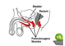 Bí quyết kỳ diệu giúp quý ông đang 10 giây có thể nghĩ đến 1 giờ