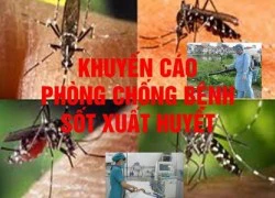 Bộ Y tế khuyến cáo phòng chống bệnh sốt xuất huyết