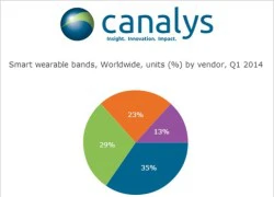 Canalys: Pebble dẫn đầu thị trường thiết bị đeo thông minh trong Q1/2014