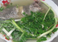 Chợt thèm rau đắng nấu canh