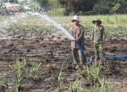 Giá nước sạch ở nông thôn cao gấp 10 lần thành phố