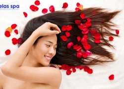 Giải pháp hiệu quả cho người béo bụng