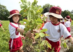 Giúp trẻ chuyển tiếp dễ dàng sang bậc học mới