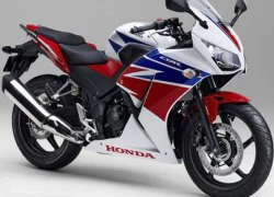 Honda chuẩn bị ra mắt CBR250R 2015