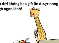 Hươu cao cổ và đồng bọn (P9): Đến khổ vì cái cổ