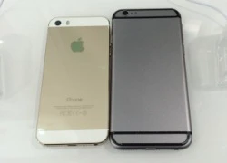 iPhone 6 dạng mô hình xuất hiện ở Hà Nội