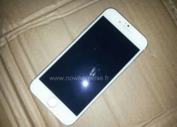 iPhone 6 màn hình lớn lộ thêm ảnh với phím nguồn mới