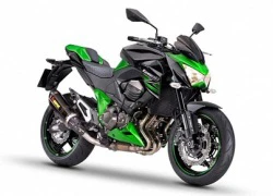 Kawasaki ra mắt Z800 Performance Edition