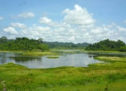 Khám phá thiên nhiên ở khu Ramsar thứ hai của Việt Nam