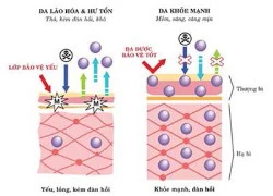 Làm sao để da trắng sáng không bắt nắng?