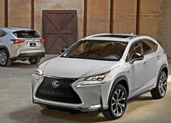 Lexus chuẩn bị đè bẹp BMW, Mercedes