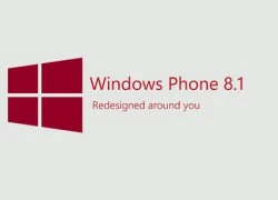 Microsoft bắt đầu hỗ trợ Windows Phone 8.1 vào ngày 24/6