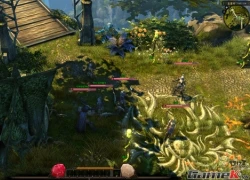 MU Online 2 sẽ ra mắt game thủ Việt vào tháng 8