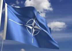 Nga: NATO lợi dụng vấn đề Ukraine để giải quyết việc riêng