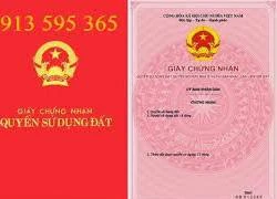 Nghịch tử lừa cầm cố nhà của mẹ