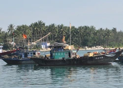 Nguyện làm 'cột mốc sống' trên biển Hoàng Sa