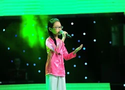 Nhạc trữ tình, quê hương: Điểm nhấn mới của các show truyền hình Việt