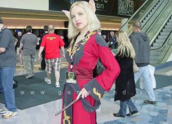 Những bộ trang phục cosplay ấn tượng tại Blizzcon