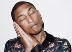 Pharrell Williams mơ về kỷ lục mới trên Billboard