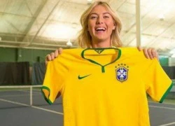 Rộ tin Sharapova chuyển sang yêu David Luiz