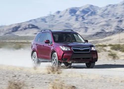 Subaru Forester 2014: SUV thuộc về những cung đường mạo hiểm