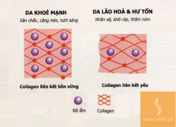 Tăng collagen cho da theo lời khuyên bác sĩ