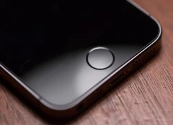 Tất cả iPhone và iPad tuơng lai đều có Touch ID?