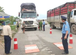 Thanh tra các trạm cân, trung tâm đăng kiểm