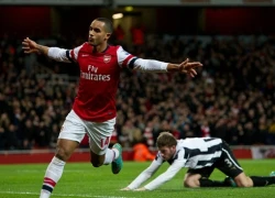 Theo Walcott gia nhập cộng đồng "chém gió"