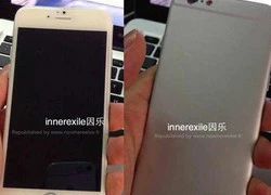 Tiếp tục lộ iPhone 6 giống iPad mini và iPod Touch