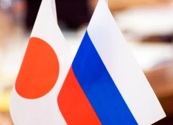 Tokyo vẫn muốn tổng thống Putin thăm Nhật Bản vào mùa thu này