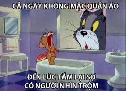 Truyện tranh troll vui phần 1397