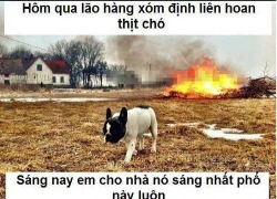 Truyện tranh troll vui phần 1503